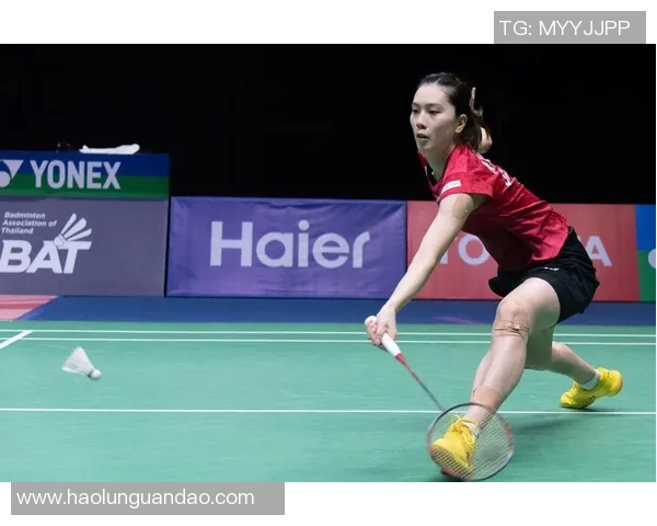 从零基础到高手之路羽毛球全面提升技巧与训练指南