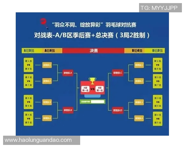 上海羽毛球队在挑战赛中以65分稳居积分榜首位 上海羽毛球队在挑战赛中以65分稳居积分榜首位