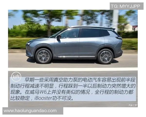 刘静独家分享排球心得助你提升技术与战术水平的全面指南