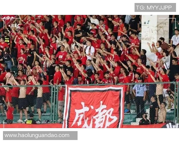 成都排球队比赛经验引发热议球迷与专家观点碰撞分析 成都排球队比赛经验引发热议球迷与专家观点碰撞分析