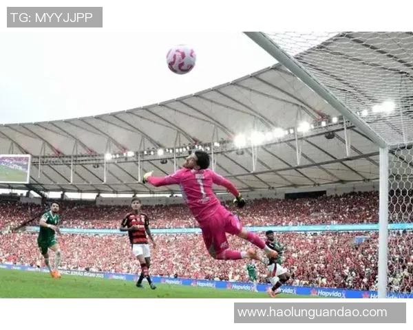 帕尔梅拉丝与弗拉门戈的巅峰对决谁将赢得巴西足球的荣耀