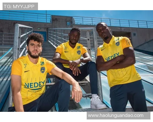 索肖与南锡实力对比分析揭示两队在联赛中的竞争态势与发展潜力