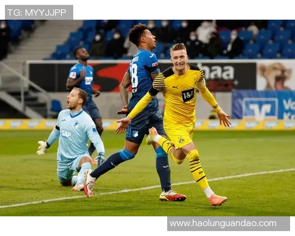 霍芬海姆对阵利物浦精彩集锦回顾及比赛亮点分析