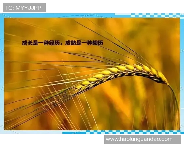 景菡一的成长旅程与心灵探索：从平凡到卓越的蜕变之路